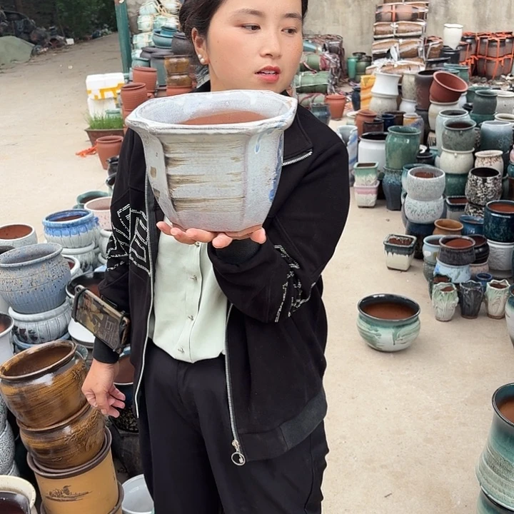 21口15高瑕疵一个盆子。