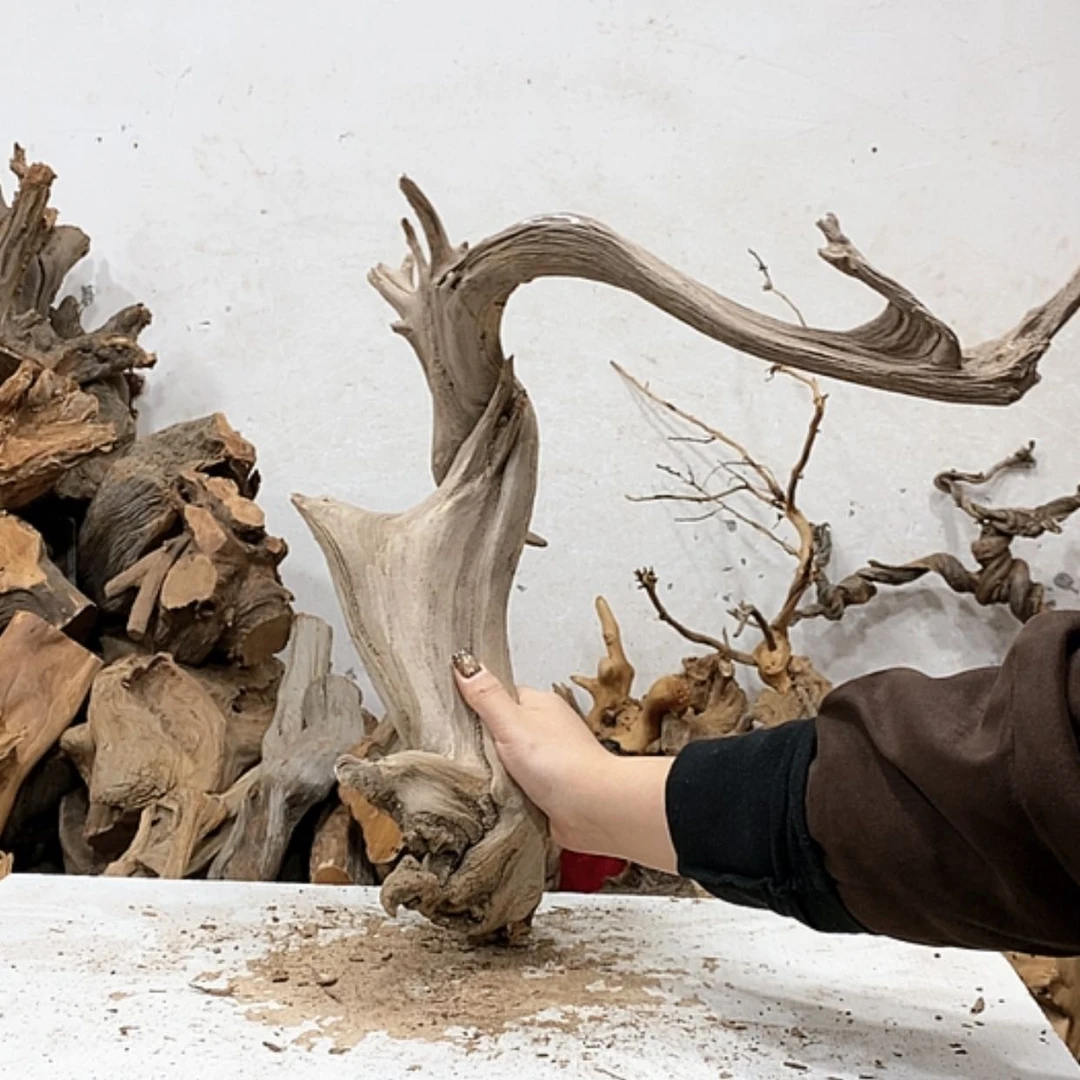 【闪购商品】柏木品****）我们都是好孩子