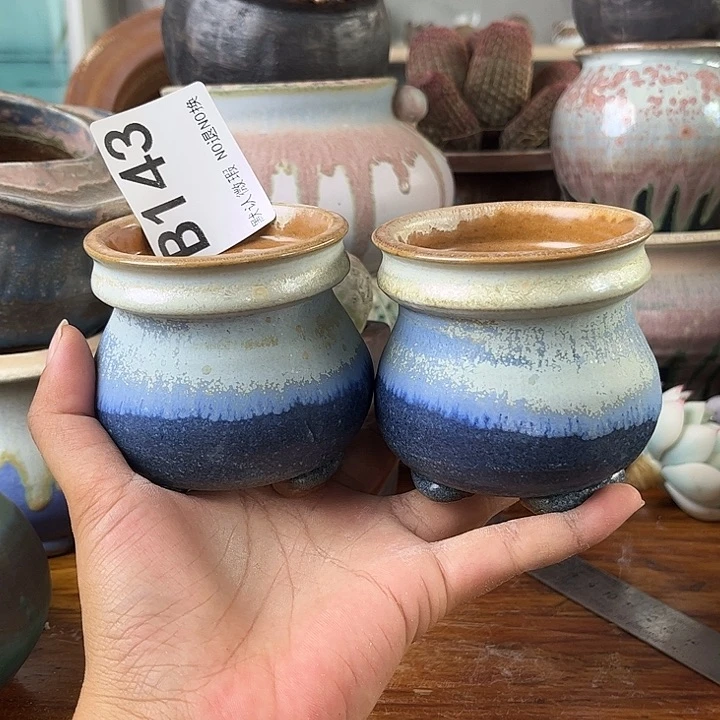 重庆小燕子欢迎大家一起143