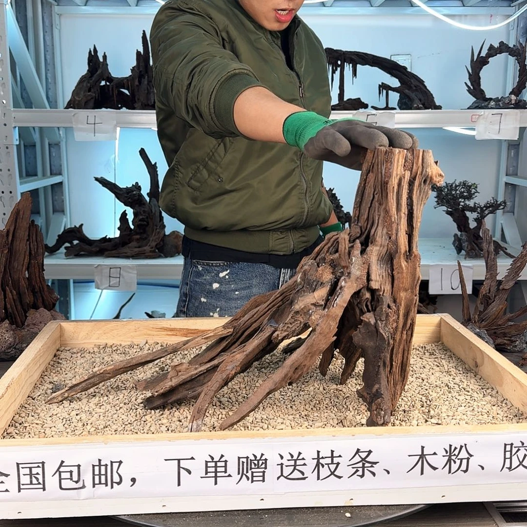 沉木造景沉木造景