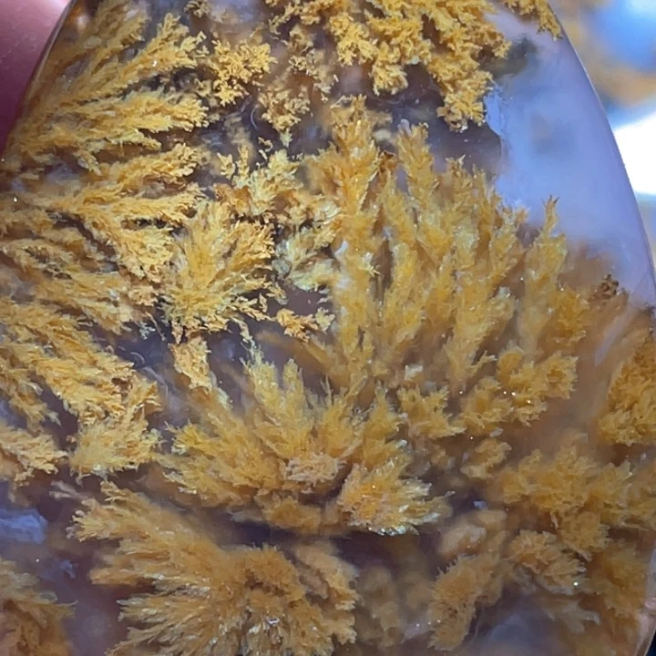 玛瑙/玉髓颈饰未镶嵌暖*夜