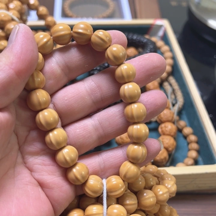四花鲨鱼12瑕疵自己找