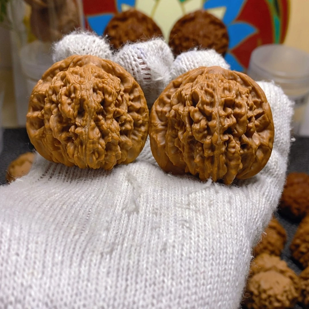 核桃45尺53克熊儿寨一代楼红皮无药