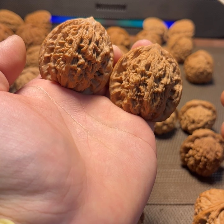 玖***卿手串/手链核桃9虎头