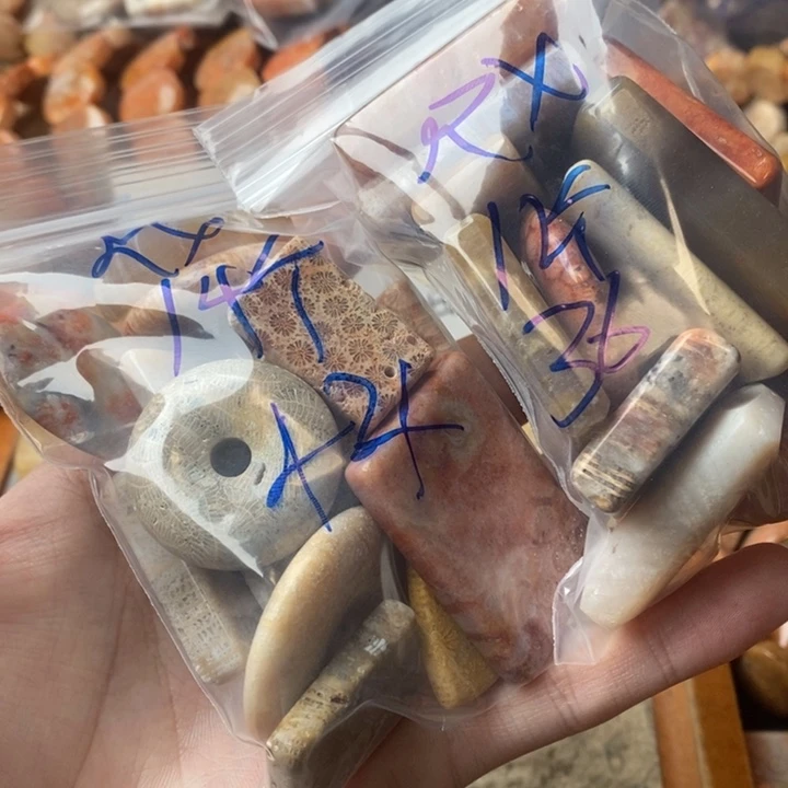 R***X颈饰未镶嵌硅化珊瑚（珊瑚玉）