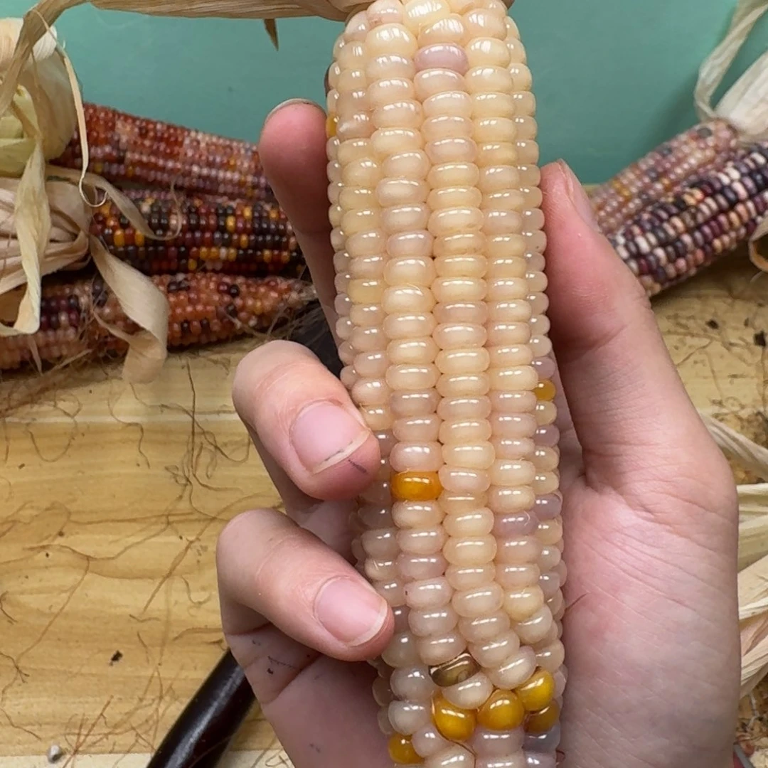 星***宝柏香籽/百香籽吊坠
