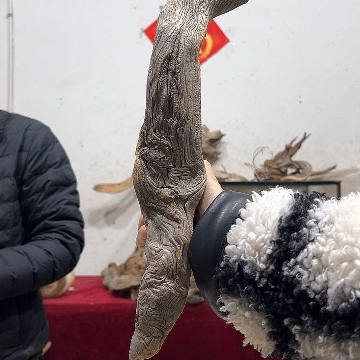 柏木添****店我们的生活也是如此