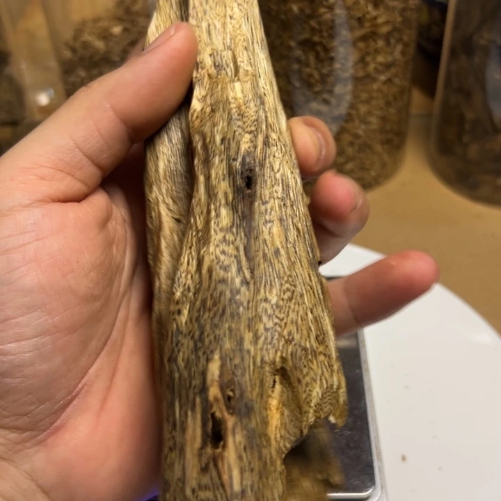 沉香碎屑沉香乌身虫漏86克