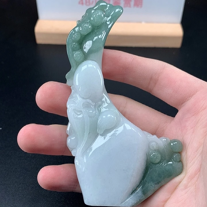 翡翠未镶嵌颈饰天然保真a货