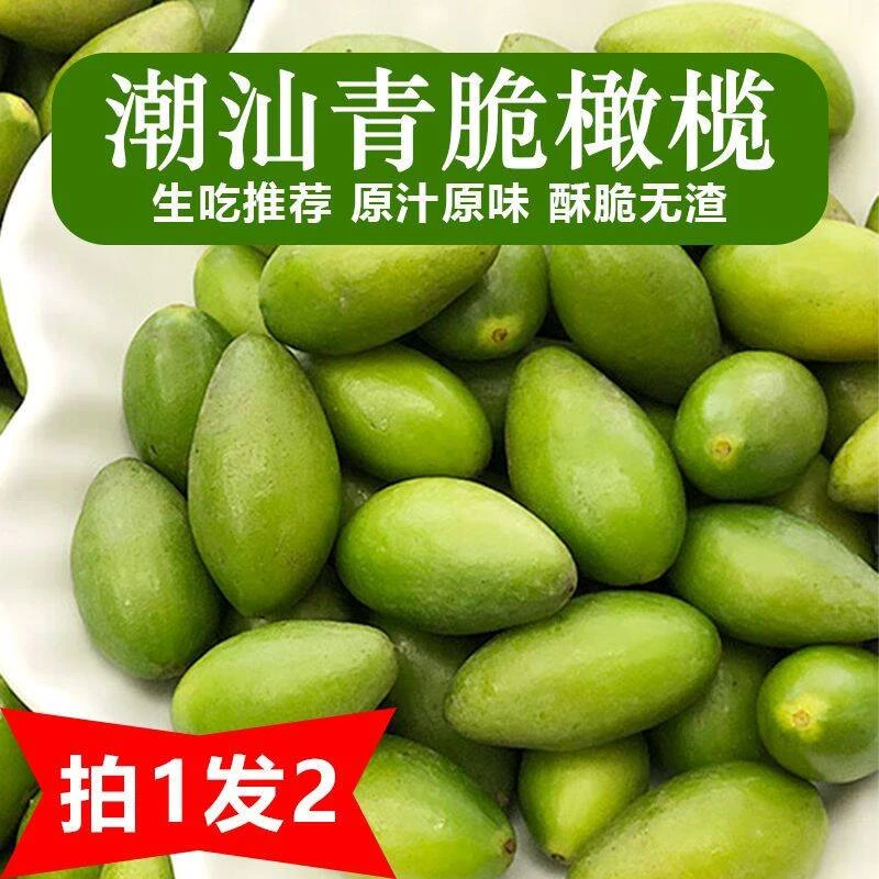 潮汕产地新鲜青橄榄现摘现发可生吃煲汤的原味青果原产地发货