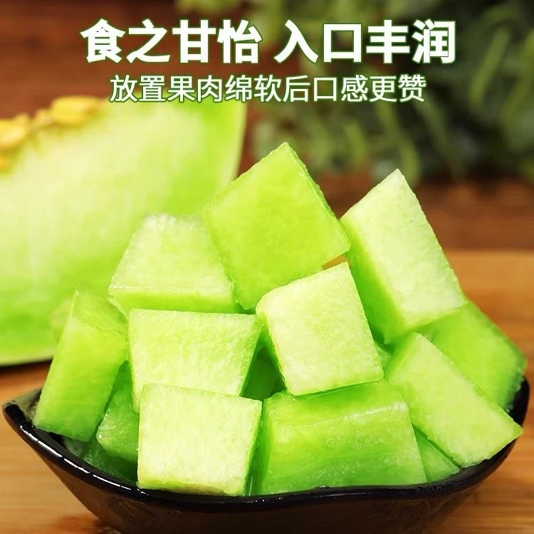 【今天拍明天到】新鲜采摘山东玉菇冰淇淋口感   软糯香甜