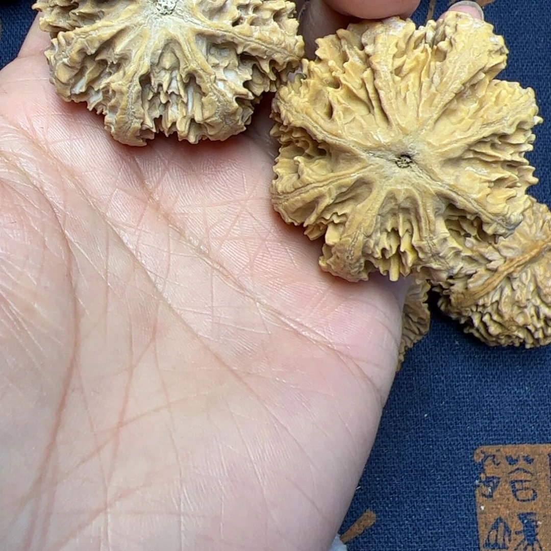 文玩核桃把件秦岭野生植物核桃