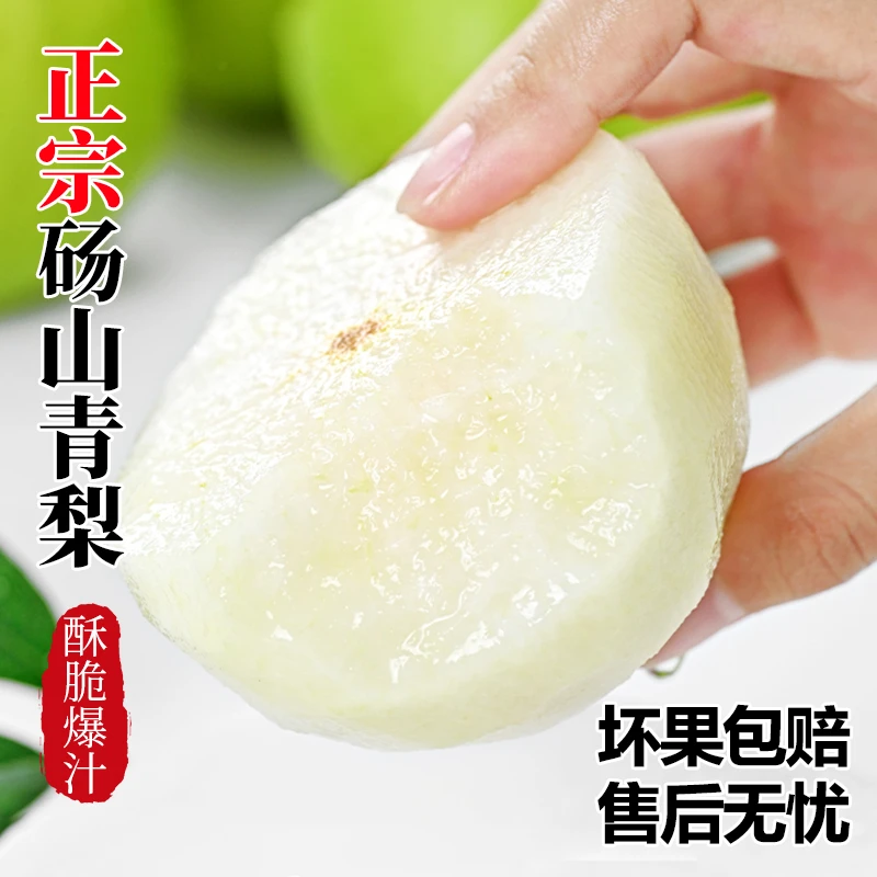 客鲜田【顺丰包邮】25年新鲜头茬翠冠梨酥脆细腻皮薄多汁5斤