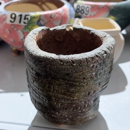 多肉植物花盆花盆