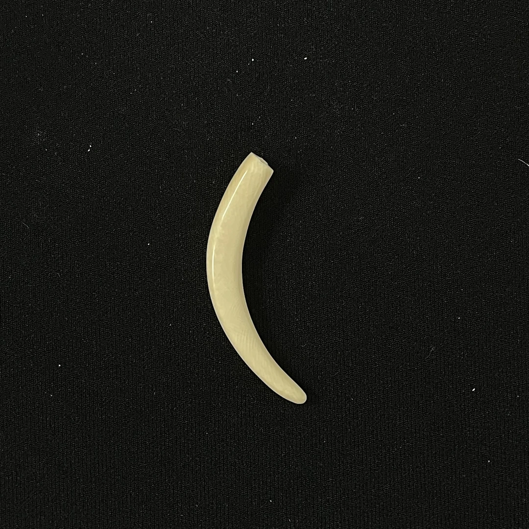 PJA48 素牙尖 只做天然猛犸牙
