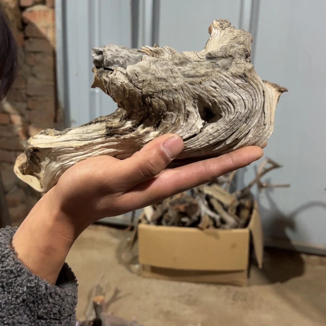 柏木（崖柏）林***石