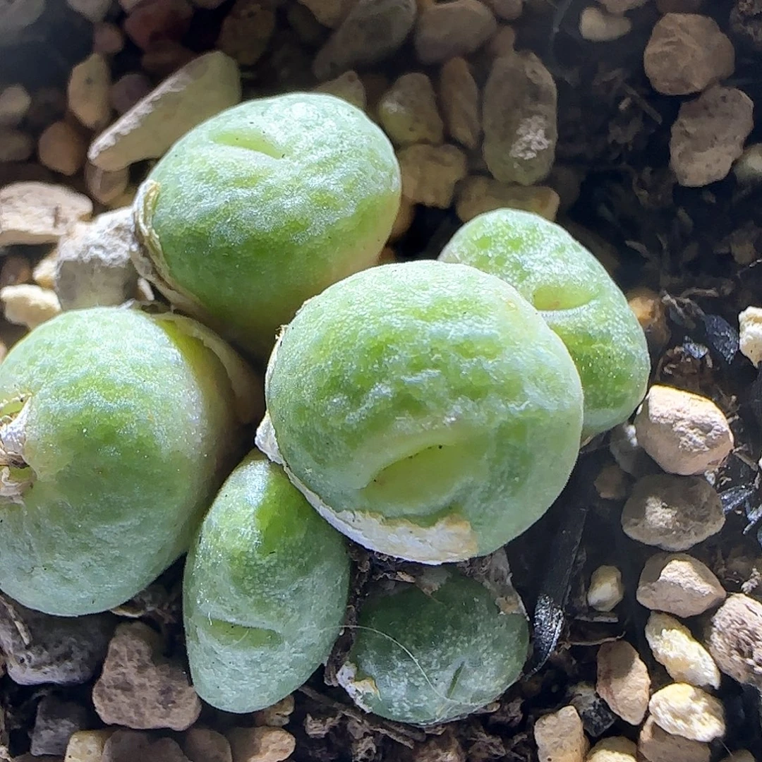 哈哈哈哈哈哈哈138