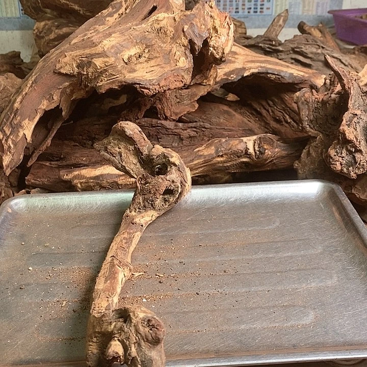 花梨木类木海南黄油梨