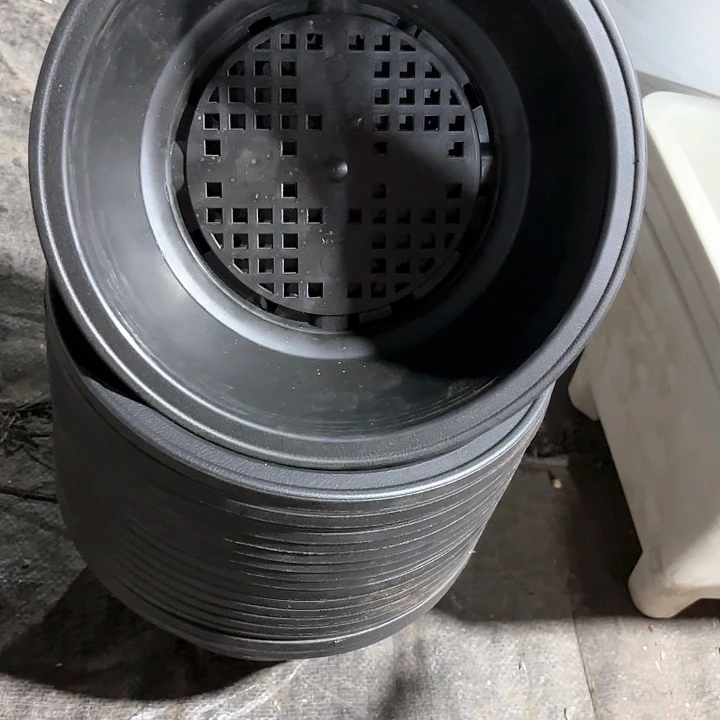 20公分黑韩盆12个