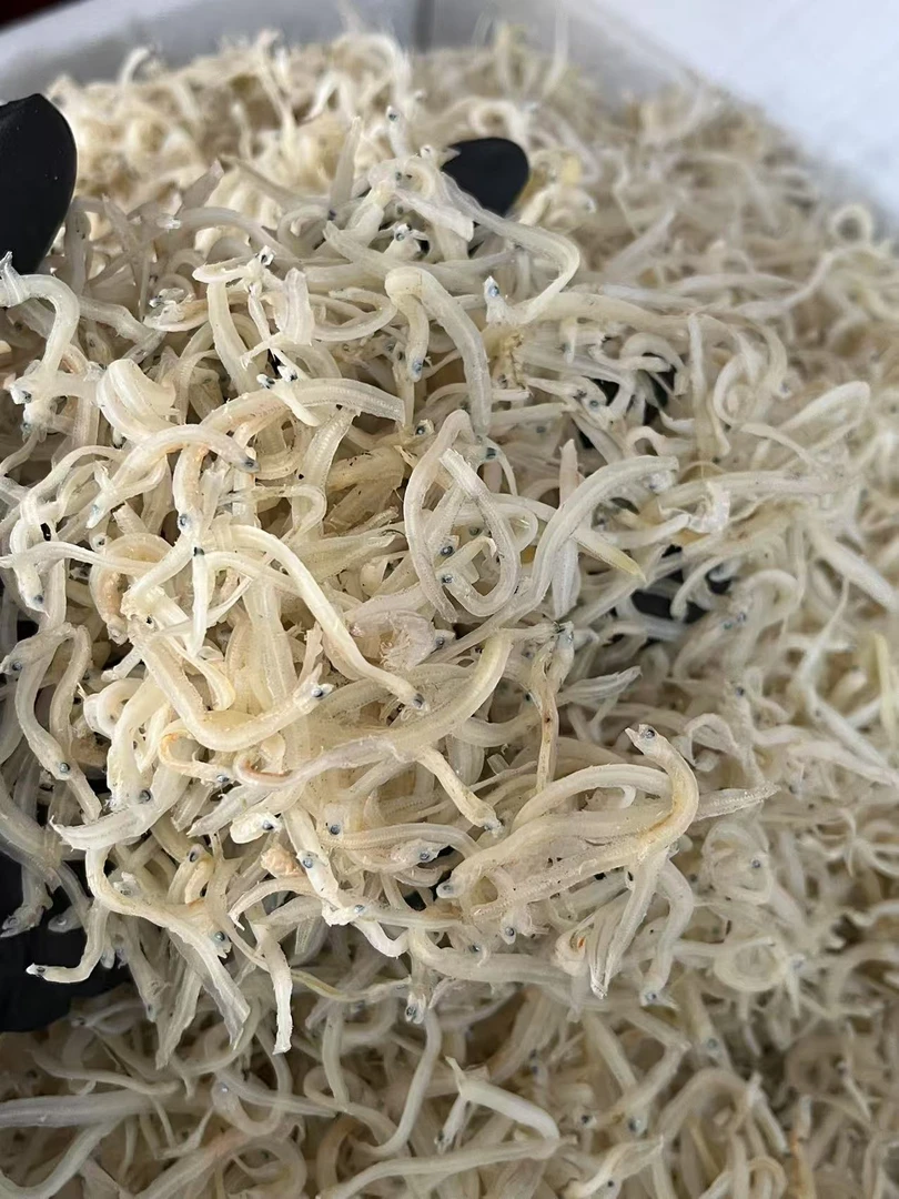 渔民自晒无沙无骨海银鱼仔可蒸蛋清蒸的新鲜食材