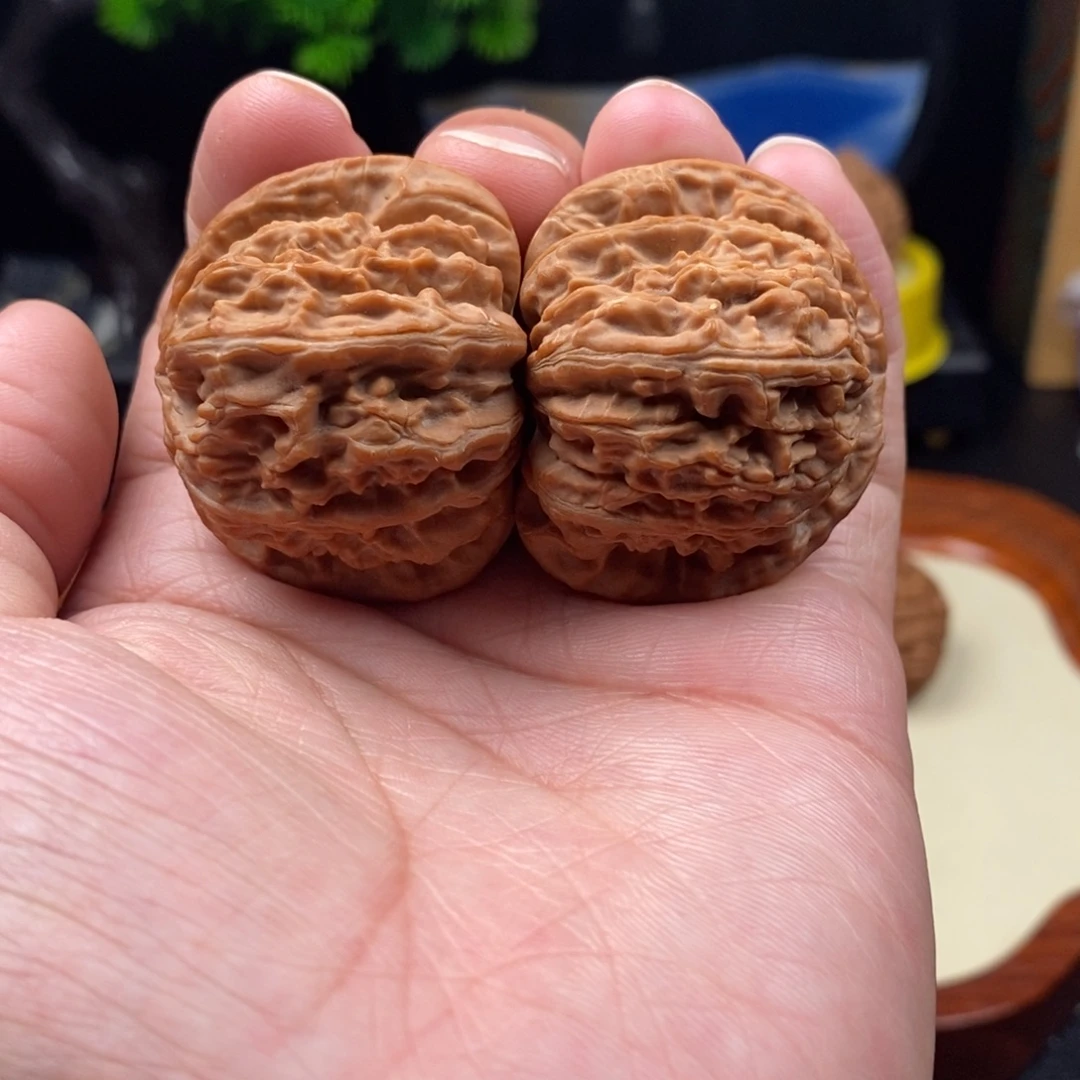 核桃全品白狮子闷白42