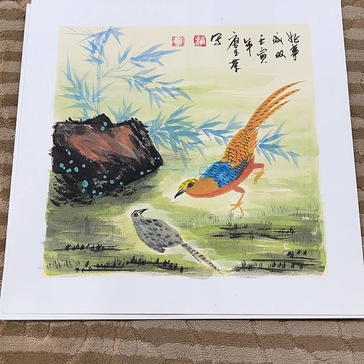 国画花鸟的翅膀是白色和50.50