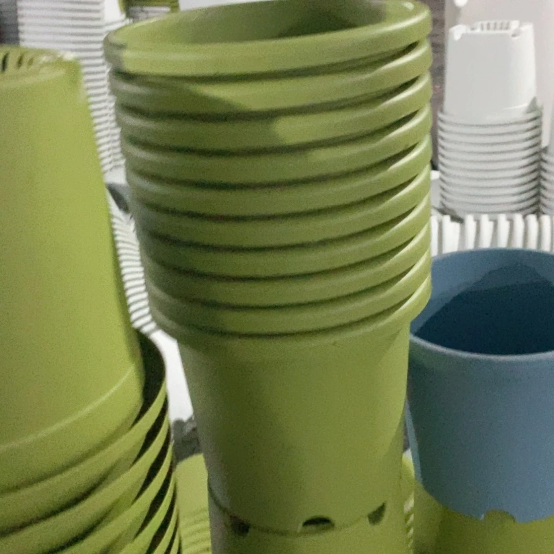 10个17口果绿微瑕无托伊特