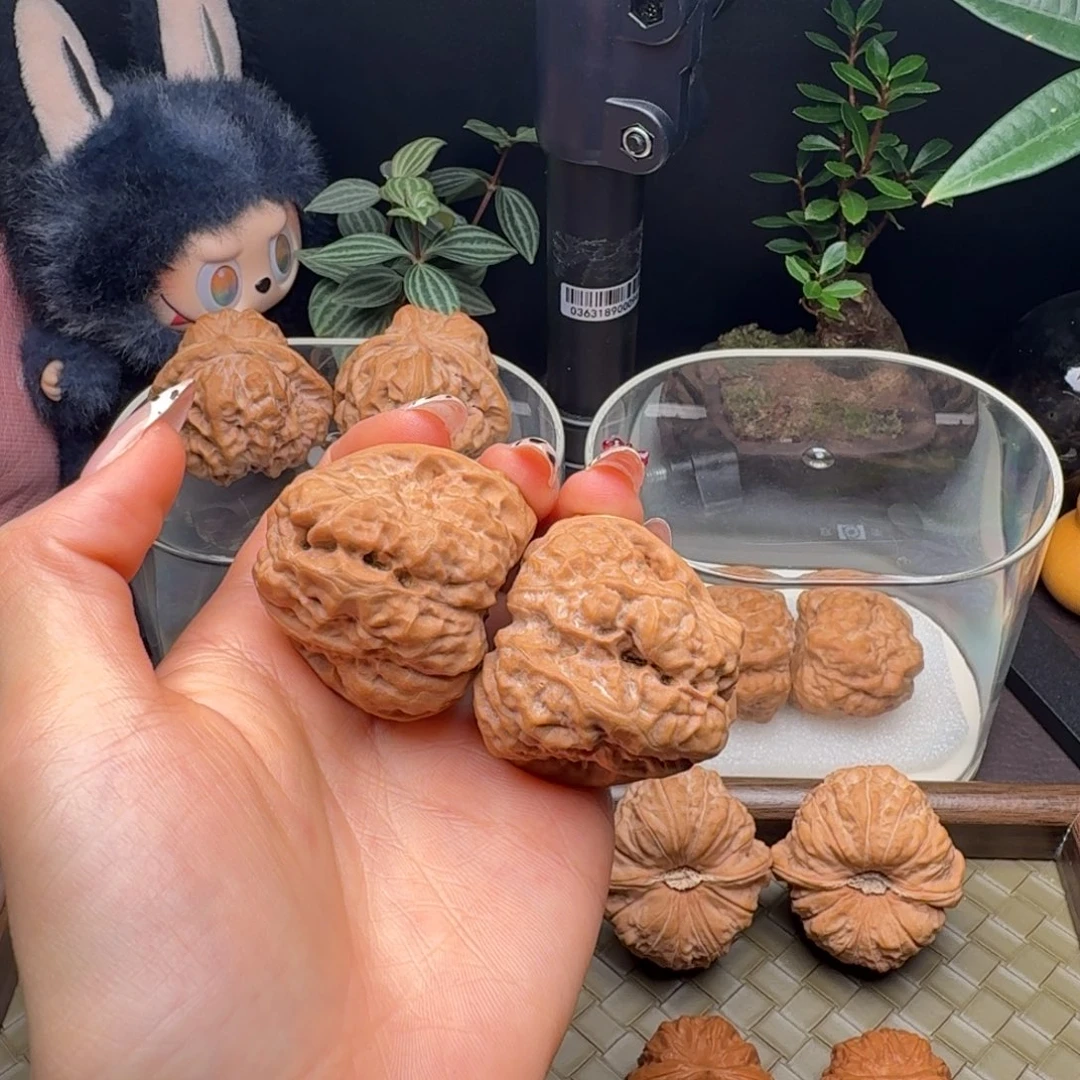 龙脊菩提把件三角蛙41