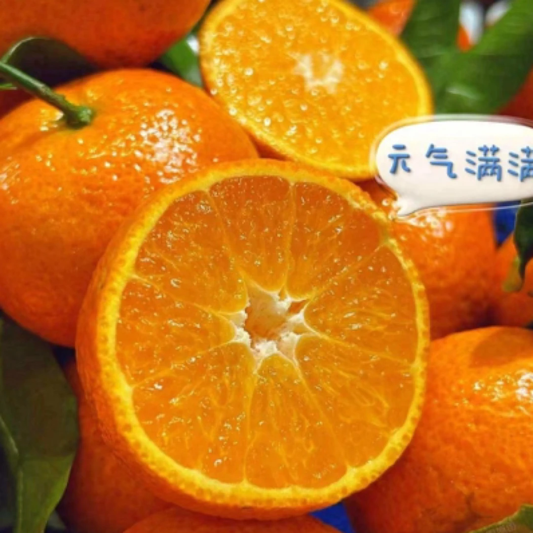 【同城配送】沙糖桔/砂糖橘/斤（四川）蜜桔四川省七台河市
