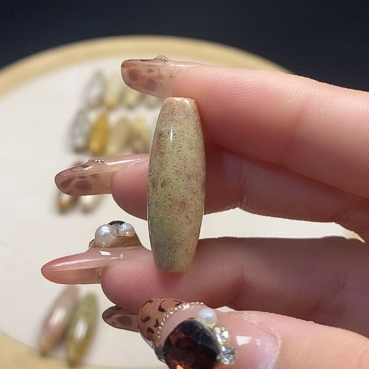 硅化珊瑚（珊瑚玉）未镶嵌颈饰