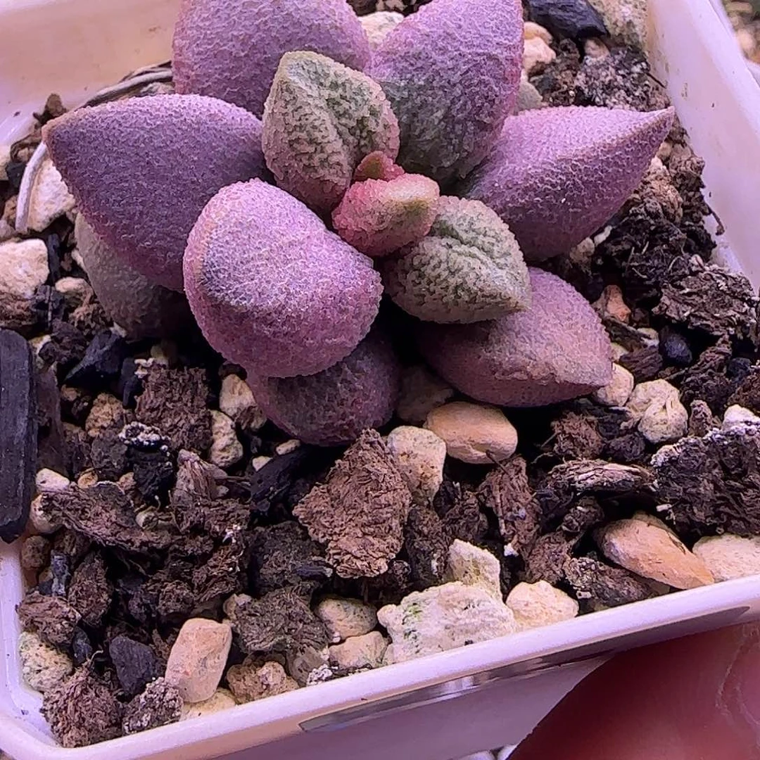 特价新品，一物一拍