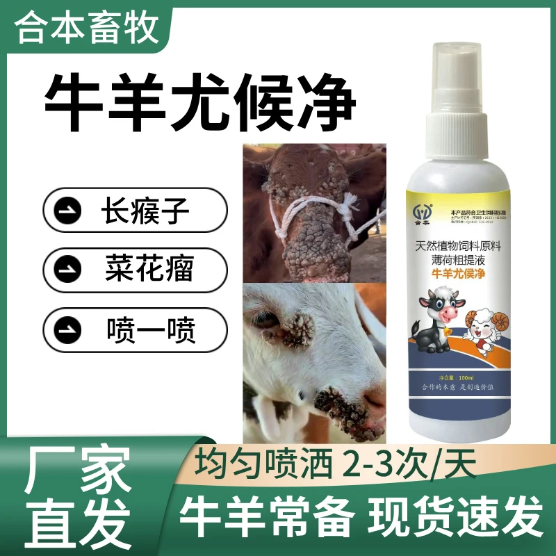 【牛羊尤候净】牛羊长候子菜花瘤喷一喷有猴喷净羊菜花瘤忧侯净兽用