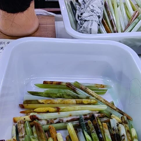 蛇纹石玉未镶嵌发簪