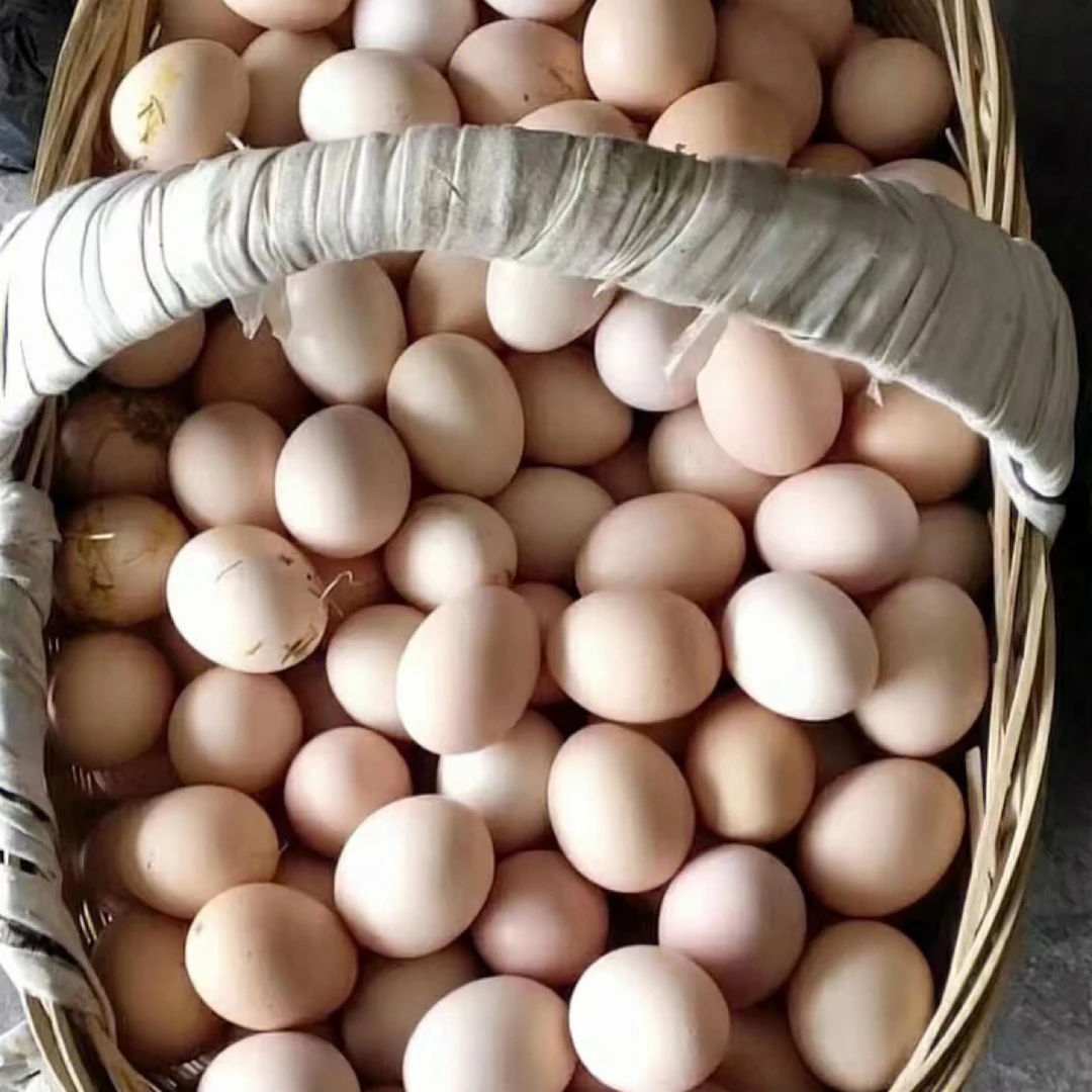 二蛋家土新店特惠精品农家土鸡蛋100枚