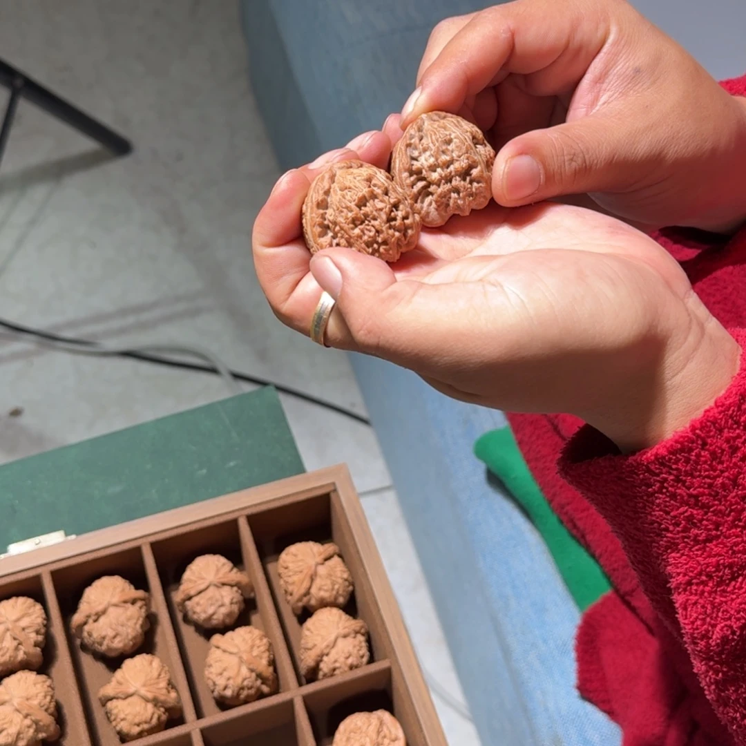 把件文玩核桃543号40-42mm全品三角白