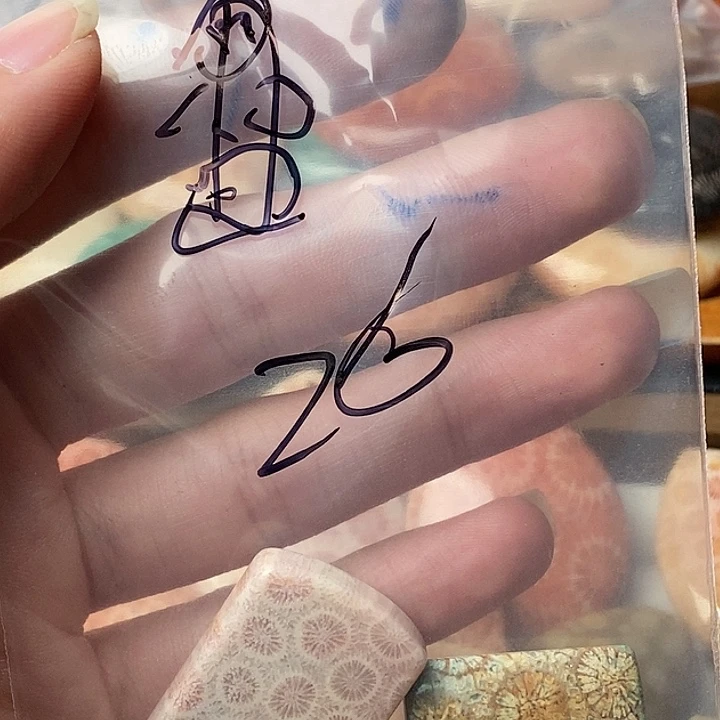 ****硅化玉未镶嵌颈饰