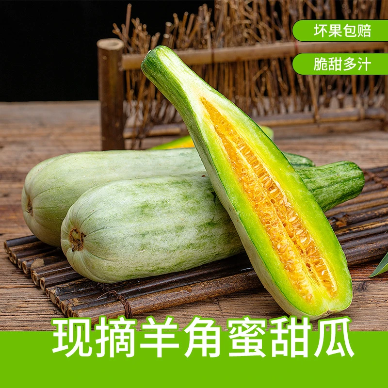 【爆甜】羊角密甜瓜山东新鲜薄皮蜜瓜水果蜜瓜整箱脆甜当季
