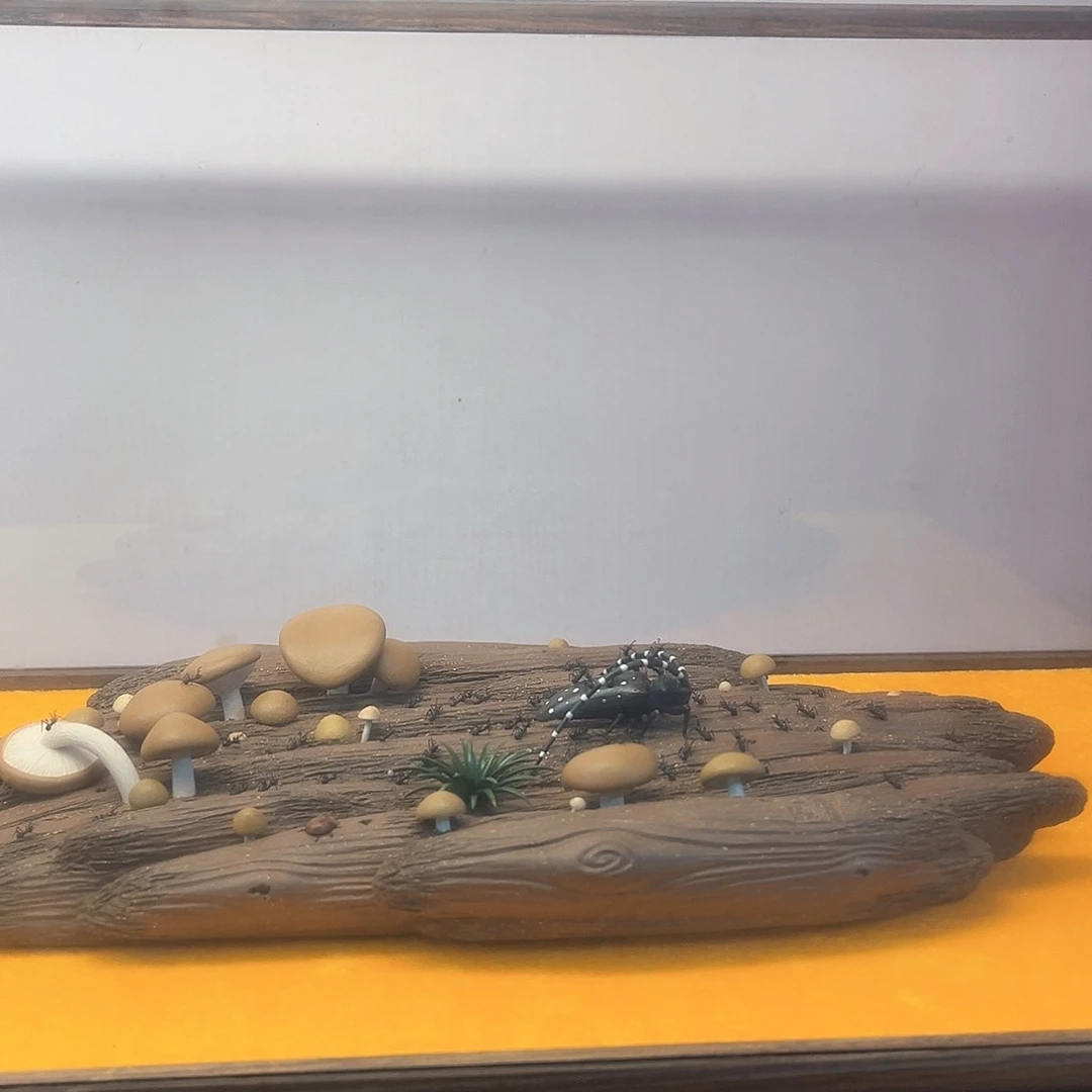 紫砂茶宠宜兴紫砂