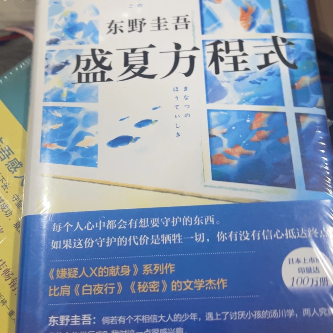 盛夏方式九米一个