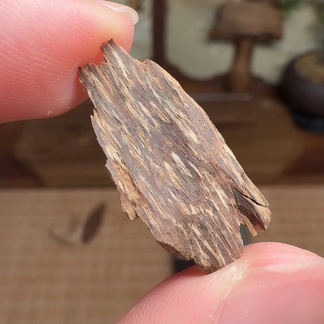 沉香缅甸密支那料子