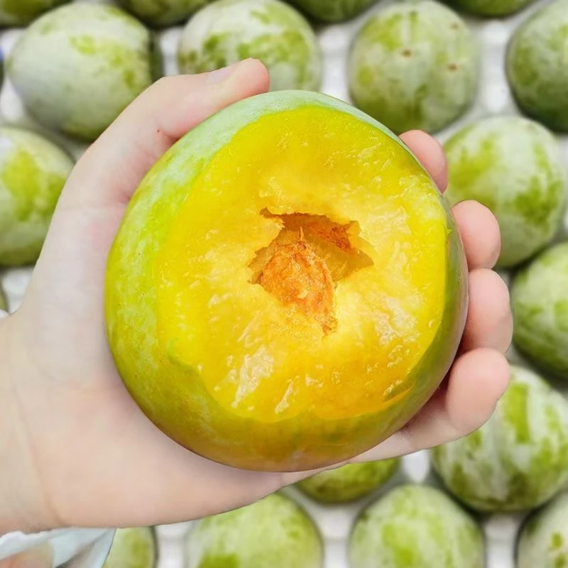 正宗重庆巫山农家优等果清脆李脱骨李脆甜土李子空心现摘新鲜水果