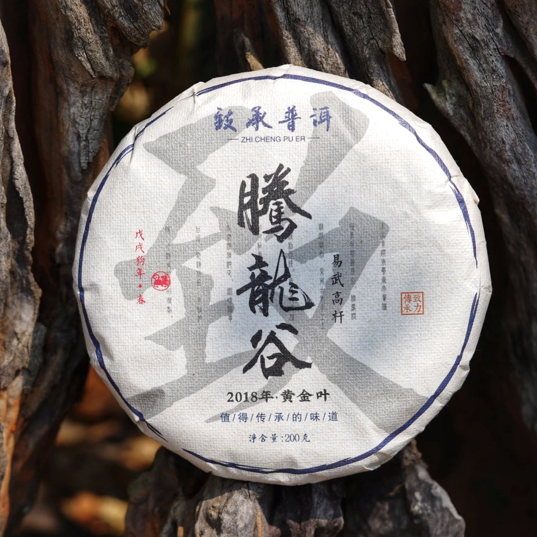 腾龙谷高杆黄金叶丨易武2018年普洱生茶 （古树头春）200克|饼
