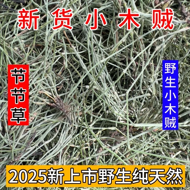 2025新货节节草 野生木贼 小木贼 纯情上 新鲜自然晒干全草个子