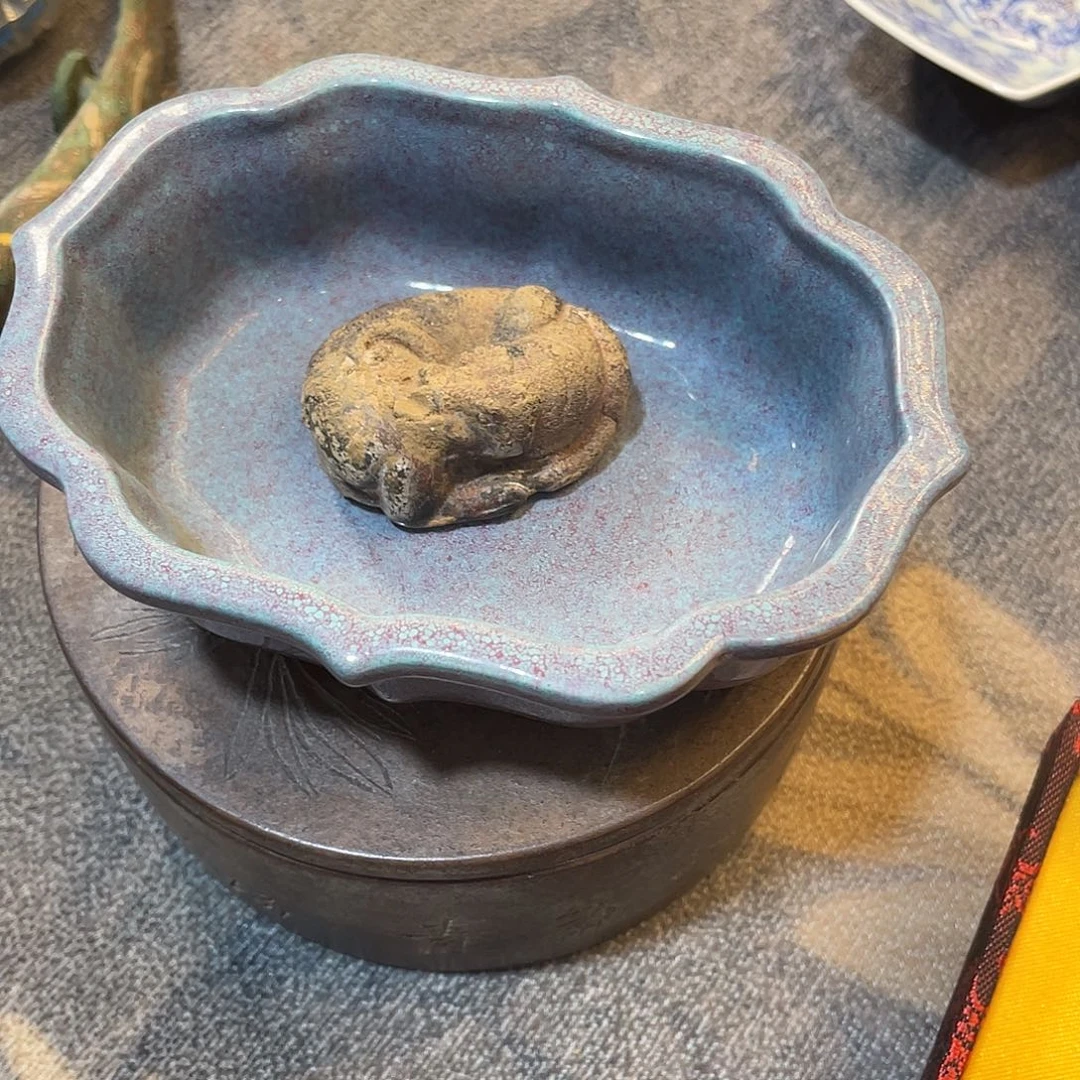 杠***号其他陶我们的生活方式是什么