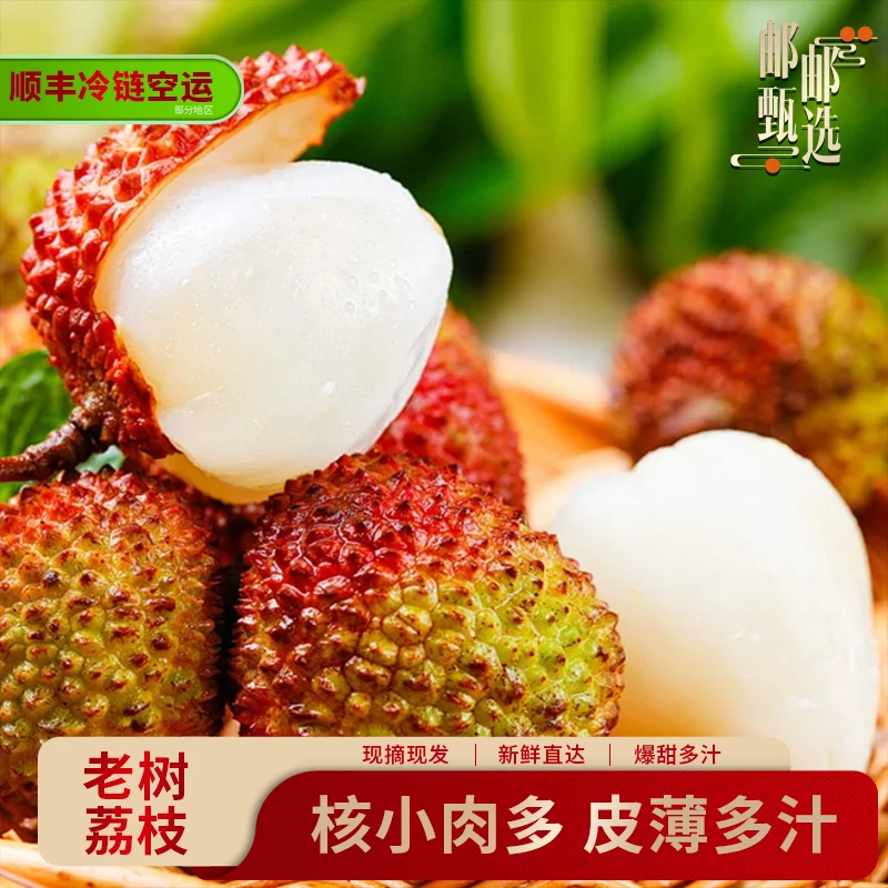 低卡5A超大果高州桂味荔枝新鲜水果当季现摘爆甜桂花味香大果王