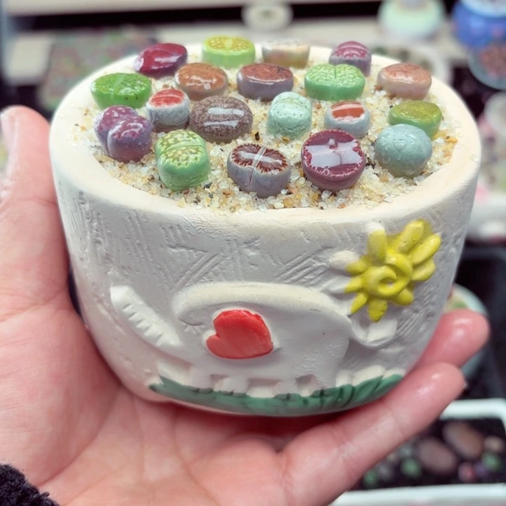 108零下地区记得拍保温箱