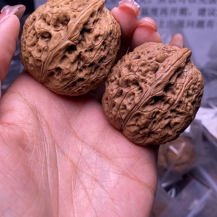 核桃云南野生铁核桃60号40mm