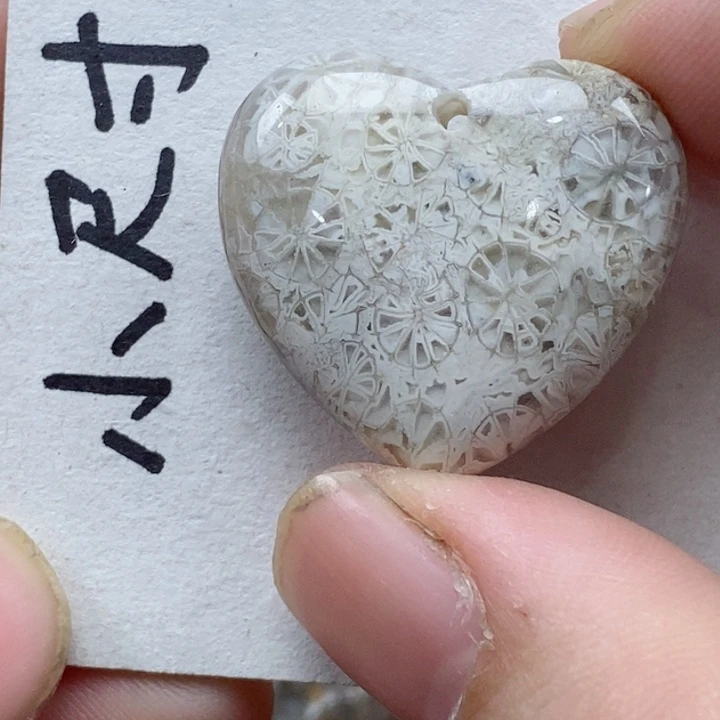 颈饰未镶嵌硅化珊瑚（珊瑚玉）