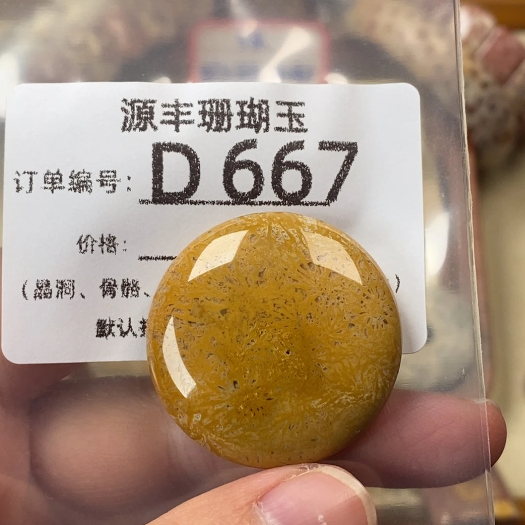 你***渝硅化玉未镶嵌颈饰