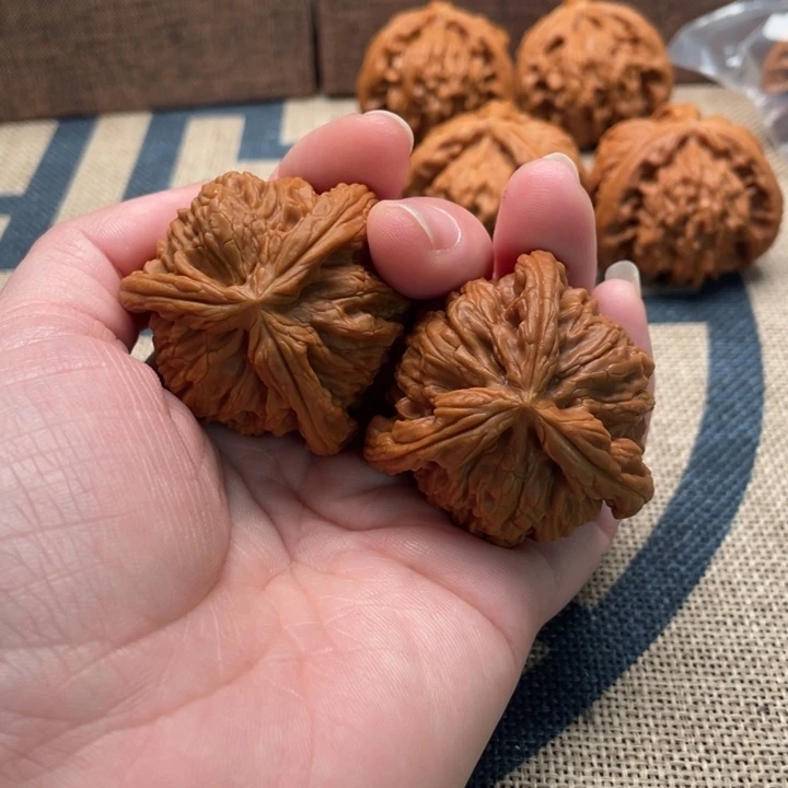 秃****核桃白狮子41核桃
